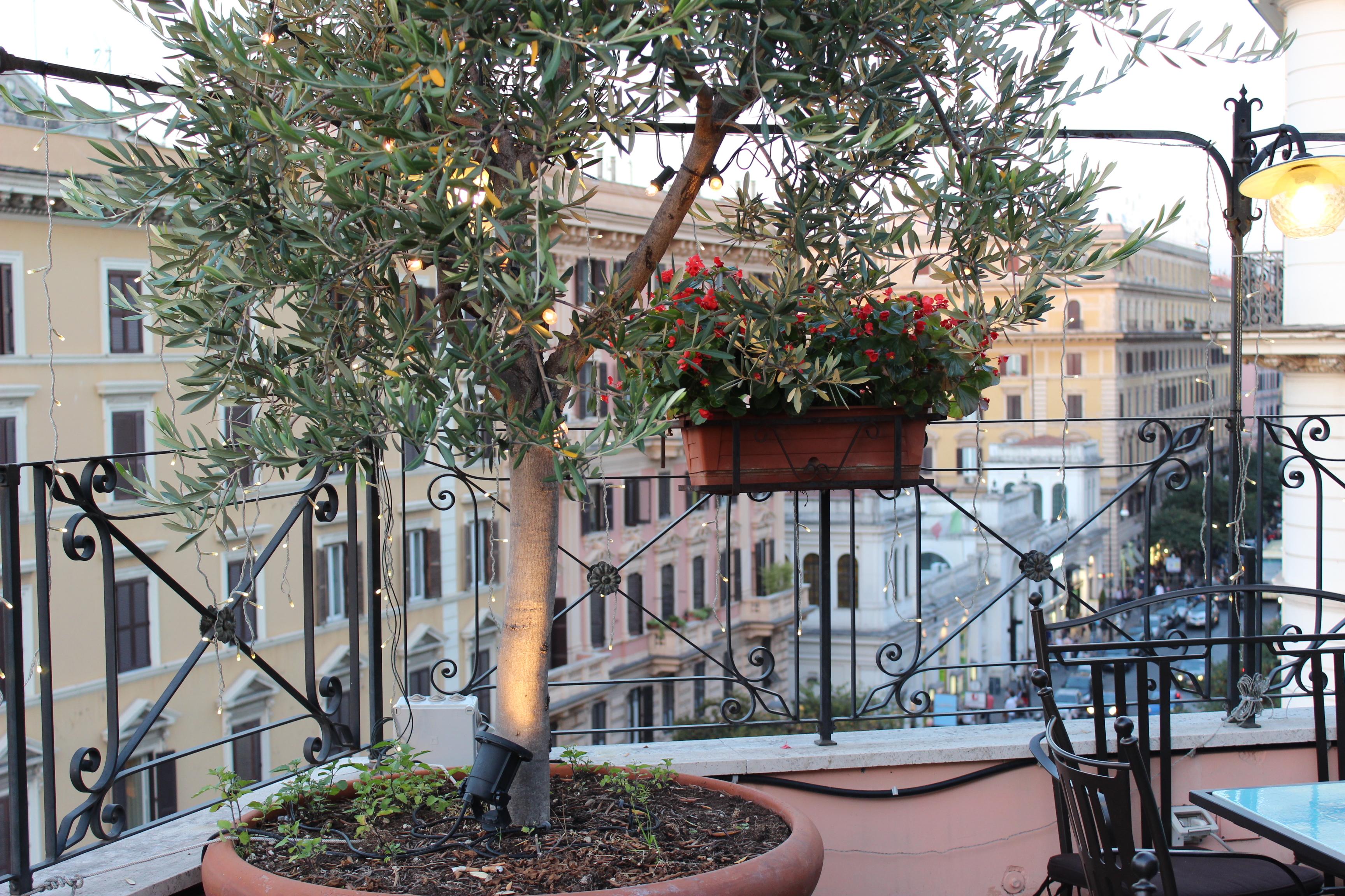 Hotel Dei Consoli Vaticano Roma Exterior foto