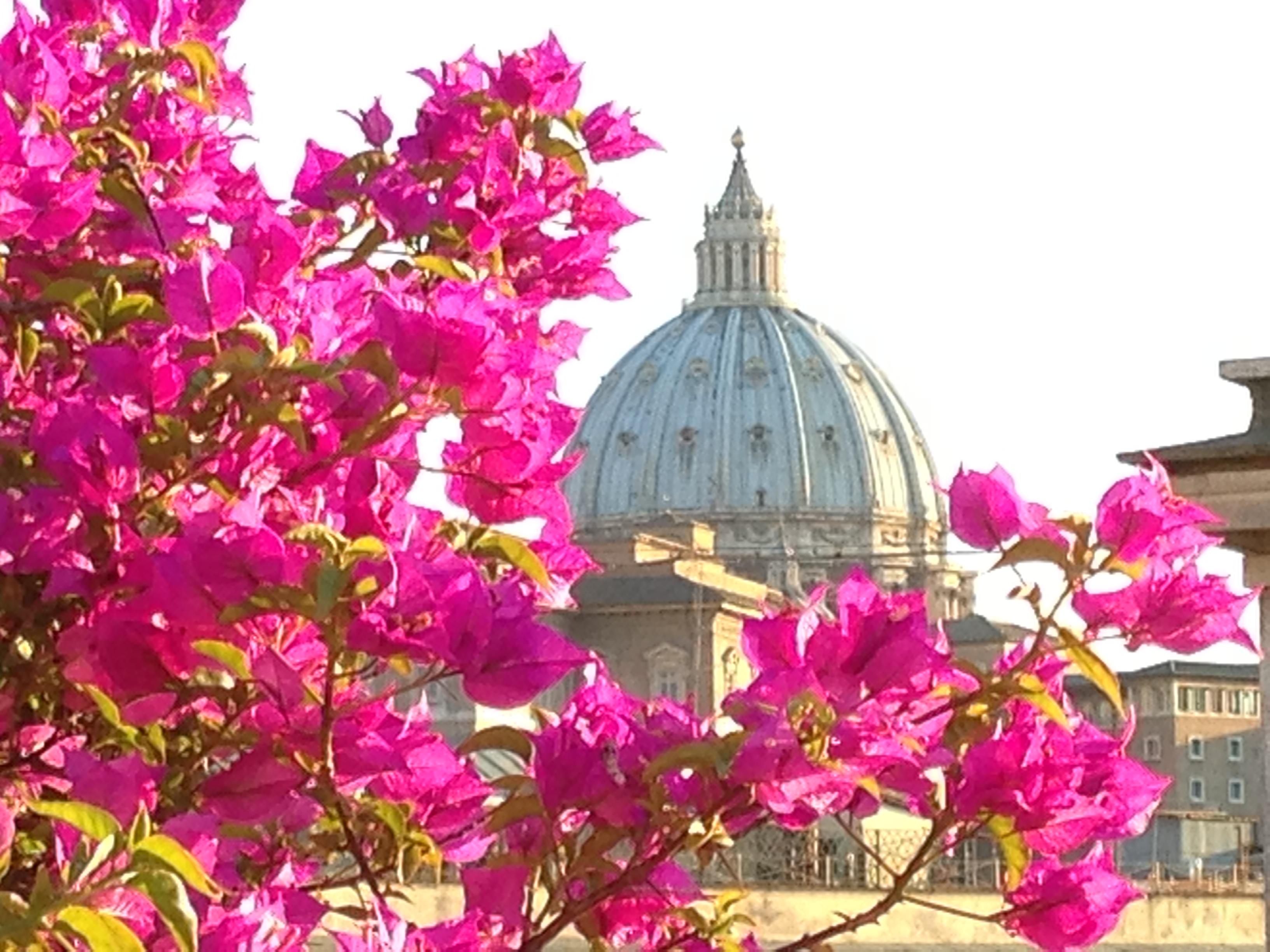 Hotel Dei Consoli Vaticano Roma Exterior foto